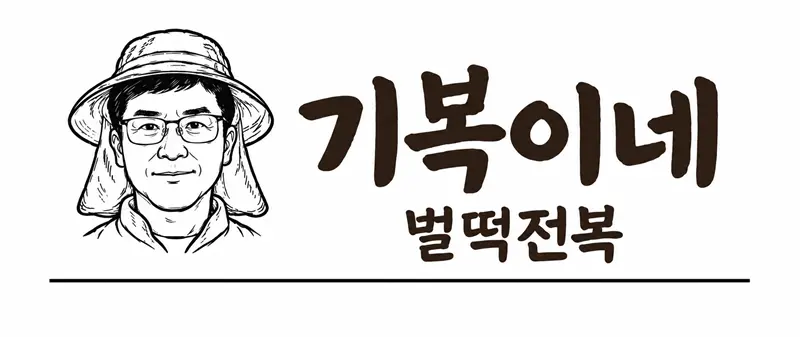 기복이네 벌떡전복