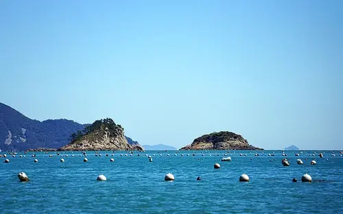 완도가 전복 주산지가 된 이유